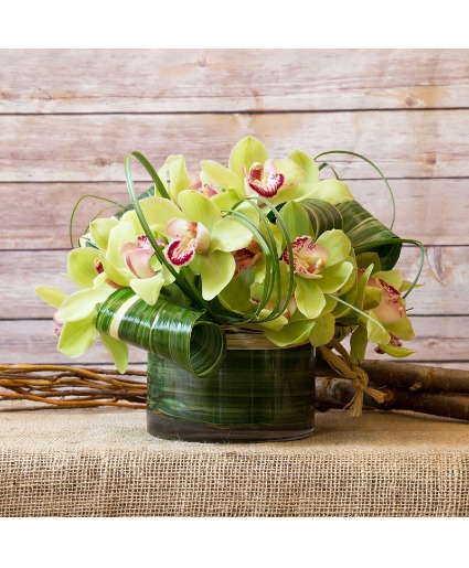 Cymbidium Orchid Arrangement 