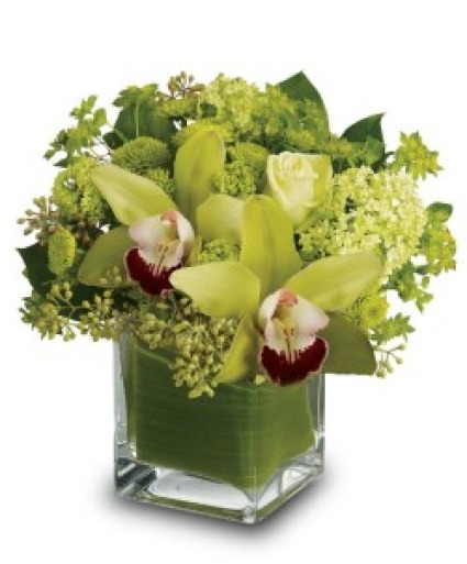 Cymbidium Orchid Arrangement Orchid Flowers Cymbidium Orchid Arrangement Orchid Flowers