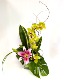 Cymbidium Orchid Arrangement Designer's Choice