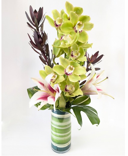 Cymbidium Orchid Arrangement Designer's Choice