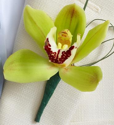 Cymbidium Orchid Boutonniere