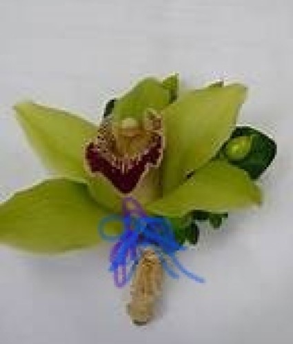 Cymbidium Orchid Boutonniere  Call for Color Preference 