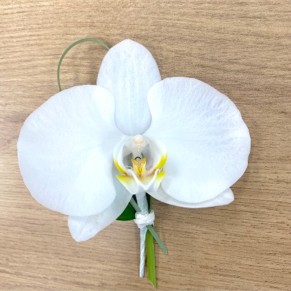 Phalaenopsis Orchid Boutonniere 