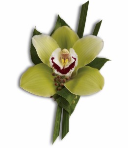 Cymbidium Orchid Boutonnieres in Chatham, NJ | SUNNYWOODS FLORIST