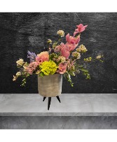 Cymbidium Orchid Contemporary Design 