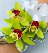 Cymbidium Orchid Corsage