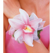 Cymbidium Orchid Corsage Available in other colors please call.