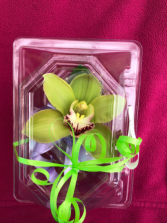 Easter Cymbidium Orchid  Corsage 