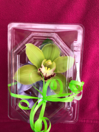 Easter Cymbidium Orchid Corsage In Mentor Oh Havel S Flowers Greenhouses