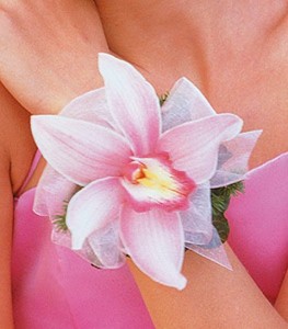 CYMBIDIUM ORCHID CORSAGE OR WRISTLET