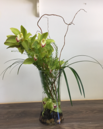 Cymbidium orchid  Fresh flowers 