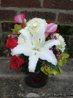 Cymbidium Orchid Mixed Arrangement