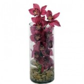 Cymbidium Orchid Rising Vase Arrangement