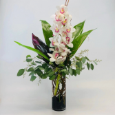 Cymbidium Orchid Stem 