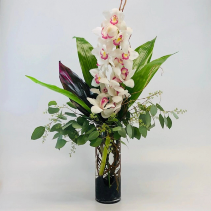 Cymbidium Orchid Stem