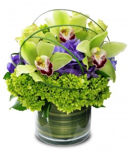 Cymbidium Orchid with Hydrangea - color may vary