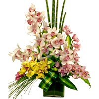 Cymbidium Orchids Vase of Flowers
