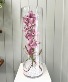 Purchase this funeral home arrangement