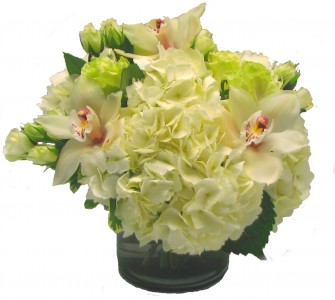 Cymbidium Snow Cut Flower Arrangement