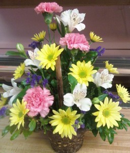 D130 simple basket