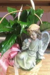 D137 angel & peace lily