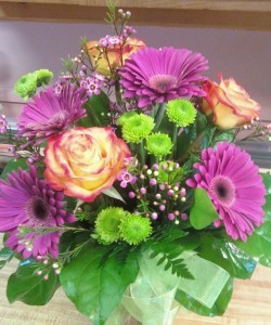 D138 GERBS & ROSES