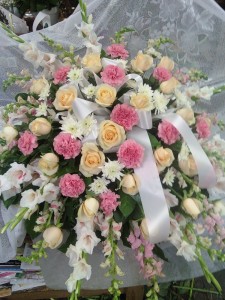 D335 pastel spray
