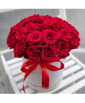 Valentine's forty eight red roses box 