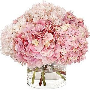 Plush Pink Hydrangea Vase