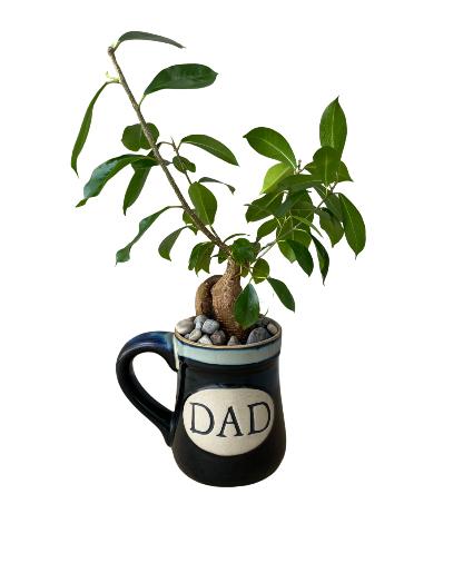 Dad Mug Planter