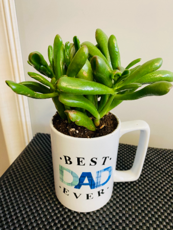 dad mug planter PLANT