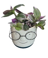 Dad pot Planter