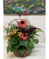 Dad's Desk European planter basket with cone flowers
