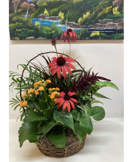 Dad's Desk European planter basket with cone flowers