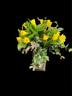 Daffodi Time 
