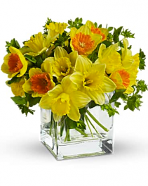 Daffodil Dreams Bouquet
