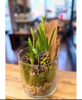 Daffodil Planter Seasonal