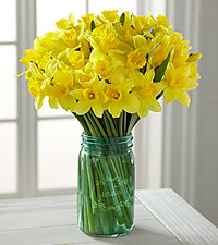 Daffodil Suprise Mason Jar