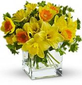 Daffodils Arrangement