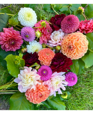 Dahlia Market Bouquet Hand Tie in Woodinville, WA | Woodinville Florist®