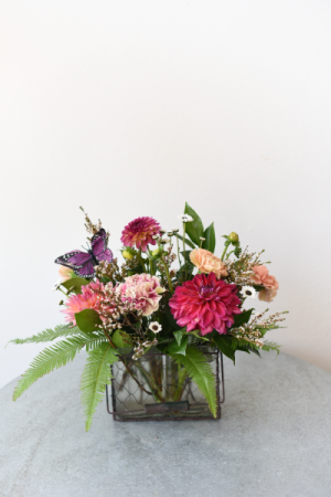Dahlia Days