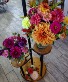 Dahlia Daze Vased Arrangement