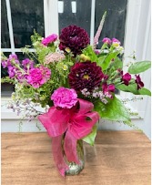 Dahlia Delight 