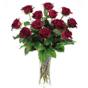 Daileys Classic Rose Dozen Vase of Roses