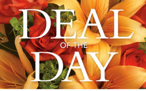 Daily Deal: Designers Choice Vase Arrangement in Fort Wayne, IN | THE FLOWER SHOP Daily Deal: Designers Choice Vase Arrangement in Fort Wayne, IN | THE FLOWER SHOP
