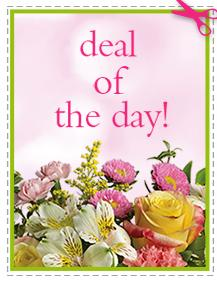 Daily Special - Assorted Flower Vase Included