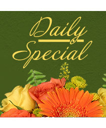 Daily Special Custom Design