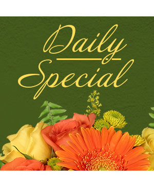 Daily Special Custom Design