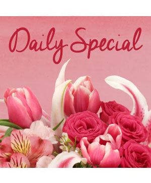 Daily Special Flower Arrangement in Saskatoon, SK - QUINN & KIM'S FLOWERS