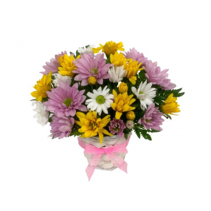 Dainty Daisies Basket Mount Pearl Florist Design